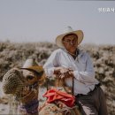 성림효사랑 실버타운 이미지