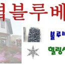 무주농업기술센터 이미지