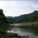 닭이봉 이미지