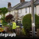 MY DOG GROOMING 이미지