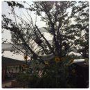 안성수산 이미지