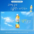 하늘유통 이미지