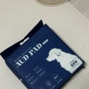 오드(AUD) | 펫츠다이닝 오드 AUD 강아지 배변패드 솔직 후기