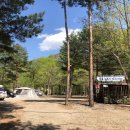 강릉 노추산 힐링캠프 이미지