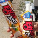 엄나무민박 이미지