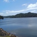 2026년 8월 8일 Massey + Cossey Loop Track (Hunua Falls) 이미지