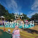 여성가족공원 물놀이장 | [원주] 24년 여름, 여성가족공원 물놀이장에서 신나게 물놀이