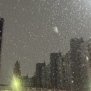 무량농장 | 25년 12월 일상[bye bye 2025]