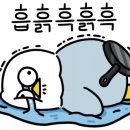 청년피자경주 이미지