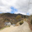 지리산둘레길 13구간 2부 입석저수지-원부춘 : 형제봉 능선의 서어나무숲에서 서어나무 완강한 뿌리와 근육질의 줄기를 감상하다 이미지