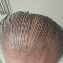 머리나라 이미지