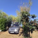 버드나무캠핑장 이미지