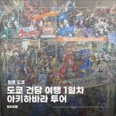 프리덤컴퍼니 | 일본 도쿄 여행 1일차 – 나리타공항 입국부터 NEX·도쿄역·간다 카츠동·아키하바라 요도바시카메라...