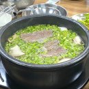 여울미나리 이미지