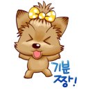 표나개 반려애견 미용실 이미지