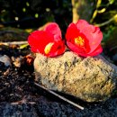 (주)성지 이미지