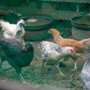 밭멍스테이 이미지