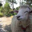 산정농장 이미지