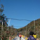 삼애농원 이미지