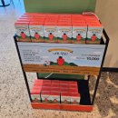 크린에이드제주표선점 | 제주오션뷰카페 제주동쪽대형카페 추천 오션뷰맛집 &#39;표선하다&#39;