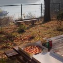 제천 펫택시 | 제천 1박 2일 (월악산유스호스텔)