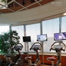 뮤직프라자 이미지