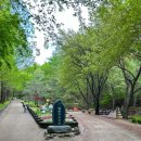 영산홍화장실 이미지