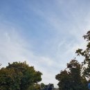 한신빌리지아파트(42230) | 🌳 인천 원적산: 도심 속 힐링 코스 완벽 가이드! 둘레길 &amp; 정상 등반 후기 🏞️