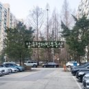 압구정-116 이미지