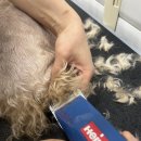 마이뷰티독 이마트 청계점 이미지