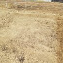 권씨농장 이미지