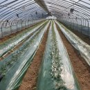 재영농장 이미지