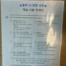 블루12양양서프
