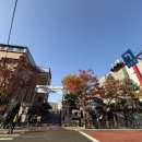 목동고등학교 이미지