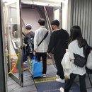 제이피대한글로벌(주) | 2024 글로벌스팀캠프 필리핀 세부 - 1주차 후기