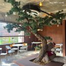 커피도큐먼트 이미지