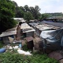 박종현농장 이미지