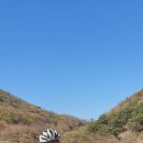 라온태양광발전소 Daum카페