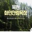 옥천 둔주봉 및 화인산림욕장 같이 가실분 구함... 이미지