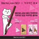래쉬브로우 이미지