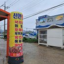 암태중학교 | 신안 암태면(퍼플섬) 낙지덮밥, 물회, 회덮밥 맛집- 신안맛집 식당