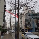 광남초등 이미지