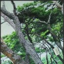 펜션노을 이미지