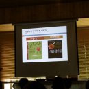 김태희의팜스쿠키 이미지