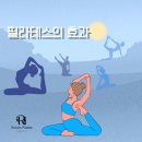 지에스(GS25) 뉴평동공단점 | [잠실새내 필라테스 / 로이븐 필라테스] 필라테스의 효과