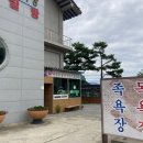 타짜오리하우스 이미지