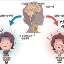 동호칼슘 이미지