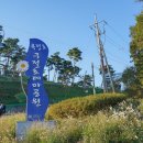 구절초 테마공원 제2주차장 이미지