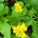 어제의 그림 오늘의 인문학 이미지