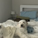 이형윤동물병원 이미지